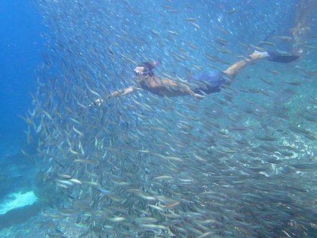 snorkeling